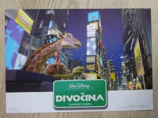 DIVOČINA, FOTOSKA FILM USA 11951