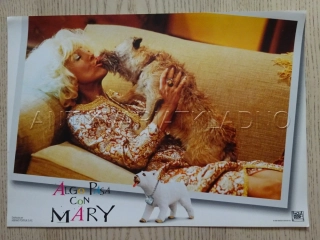 NĚCO NA TÉ MARY JE, FOTOSKA FILM USA 12283