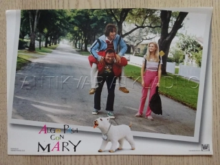 NĚCO NA TÉ MARY JE, A. SANDLER, C. DIAZ, FOTOSKA FILM USA 12285