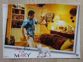 NĚCO NA TÉ MARY JE, K. DILLON, FOTOSKA FILM USA 12286