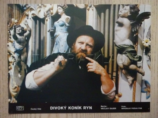 DIVOKÝ KONÍK RYN, FOTOSKA FILM ČR 12418