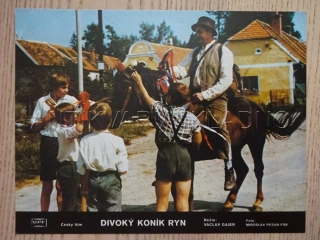 DIVOKÝ KONÍK RYN, Z. ŘEHOŘ, FOTOSKA FILM ČR 12419