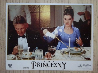DENÍK PRINCEZNY, FOTOSKA FILM USA 12522