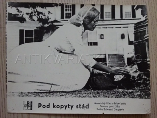 POD KOPYTY STÁD,  FOTOSKA FILM USA 12628