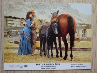 MRTVÝ NEBO ŽIVÝ, FOTOSKA FILM USA 12644