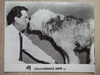 CHUNDELATÝ PES, F. MACMURRAY, FOTOSKA FILM USA 12698