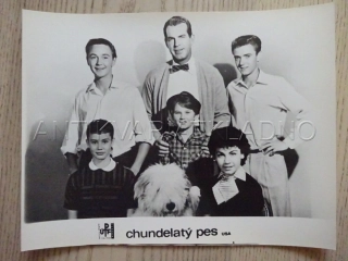 CHUNDELATÝ PES, F. MACMURRAY, K. RUSSELL, FOTOSKA FILM USA 12699