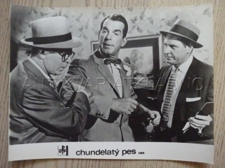 CHUNDELATÝ PES, F. MACMURRAY, FOTOSKA FILM USA 12700