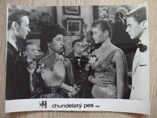 CHUNDELATÝ PES, FOTOSKA FILM USA 12701