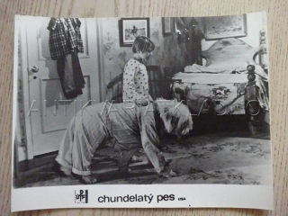 CHUNDELATÝ PES, FOTOSKA FILM USA 12702