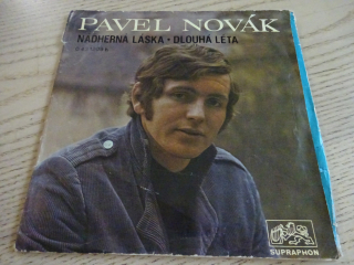 PAVEL NOVÁK, NÁDHERNÁ LÁSKA, DLOUHÁ LÉTA, MALÁ DESKA