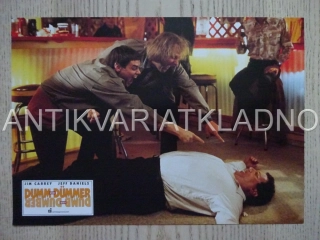 BLBÝ A BLBĚJŠÍ, J. CARREY, J. DANIELS, FOTOSKA FILM USA 13112
