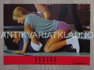 DRAČÍ ŽIVOT BRUCE LEE, J. S. LEE, FOTOSKA FILM USA 13123
