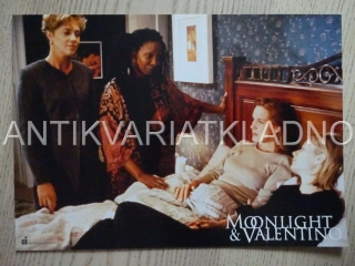 VALENTINO, W. GOLDBERG, FOTOSKA FILM VB 13628