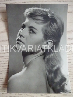 MARIE TOMÁŠOVÁ, POHLEDNICE 521