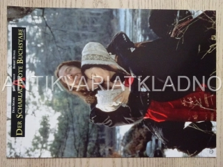ŠARLATOVÉ PÍSMENO, G. OLDMAN, D. MOORE, FOTOSKA FILM USA 14122