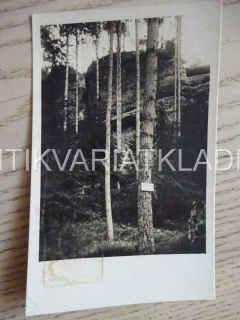 TOULOVCOVY SKÁLY, VELRYBA, OKRES CHRUDIM/SVITAVY, POHLEDNICE 587