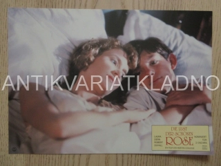 POPÍNAVÁ RŮŽE, L. DERN, FOTOSKA FILM USA 14777