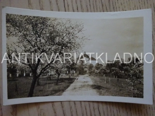 CHLUMEC NAD CIDLINOU, SAD, CESTA, OKRES HRADEC KRÁLOVÉ, POHLEDNICE 618