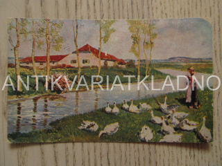 VODA, LOUKA, HUSY, DŮM, BŘEŽANY, POHLEDNICE 646