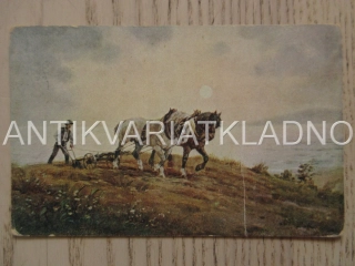 KONĚ, PŘÍRODA, ZÁPAD SLUNCE, POHLEDNICE 651