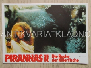 RYBA ZABIJÁK, FOTOSKA FILM IT 15009