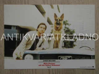 K-9, MŮJ PŘÍTEL SE STUDENÝM ČUMÁKEM, J. BELUSHI, FOTOSKA FILM USA 15039