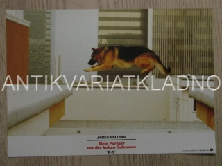 K-9, MŮJ PŘÍTEL SE STUDENÝM ČUMÁKEM, FOTOSKA FILM USA 15040