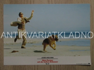 K-9, MŮJ PŘÍTEL SE STUDENÝM ČUMÁKEM, J. BELUSHI, FOTOSKA FILM USA 15045