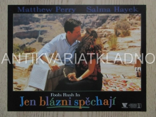 JEN BLÁZNI SPĚCHAJÍ, M. PERRY, S. HAYEK, FOTOSKA FILM USA 15157