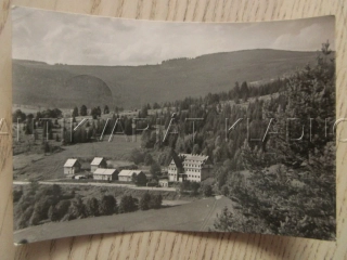 ŠUMAVA - SUŠICE - SRNÍ, ZOTAVOVNA VYDRA, LES, KRAJINA, OKRES KLATOVY, POHLEDNICE 739