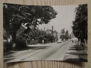 ROUDNÁ, VETERÁN, OKRES TÁBOR, POHLEDNICE 919