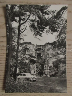 SUCHDOL - VYSOKÁ, ZŘÍCENINY BAROKNÍHO KLÁŠTERA, VETERÁN, OKRES KUTNÁ HORA, POHLEDNICE 938