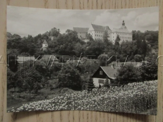 BECHYNĚ, V POZADÍ HRAD, OKRES TÁBOR, POHLEDNICE 1060
