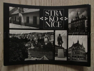 STRAKONICE, RODIŠTĚ A BUSTA F. L. ČELAKOVSKÉHO, VODNÍ NÁDRŽ, OKRES STRAKONICE, POHLEDNICE 1061
