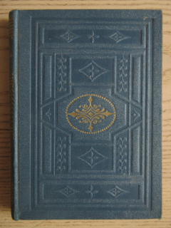 VE VICHŘICI ŽIVOTA, VLASTA JAVOŘICKÁ, **an