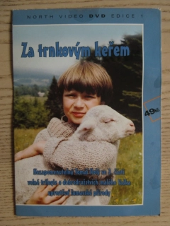 ZA TRNKOVÝM KEŘEM, T. HOLÝ, G. VALACH, DVD FILM ČR