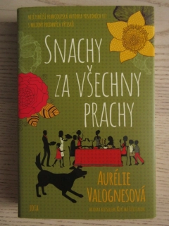 SNACHY ZA VŠECHNY PRACHY, AURÉLIE VALOGNESOVÁ, **an
