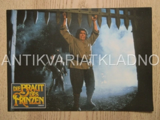 PRINCEZNA NEVĚSTA, M. PATINKIN, FOTOSKA FILM USA 15302