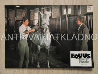 EQUUS, FOTOSKA FILM USA 15431