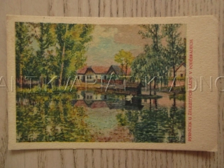 RYBNÍČEK U ŽELEZITÝCH LÁZNÍ V PODĚBRADECH, OKRES NYMBURK, POHLEDNICE 1114