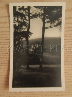 HRAD KŘIVOKLÁT, OKRES RAKOVNÍK, POHLEDNICE 1209