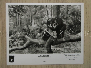 ACE VENTURA: ZVÍŘECÍ DETEKTIV, J. CARREY, FOTOSKA FILM USA 15627