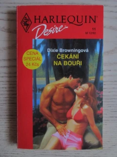 ČEKÁNÍ NA BOUŘI, DIXIE BROWNINGOVÁ, **an