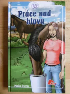 PRÁCE NAD HLAVU, MALIN STEHN, **an