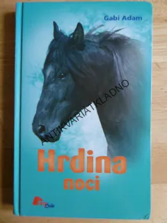 HRDINA NOCI, GABI ADAM, **an