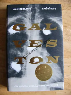 GALVESTON, NIC PIZZOLATTO, **an