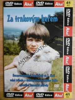 ZA TRNKOVÝM KEŘEM, DVD FILM 