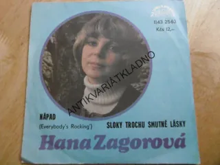 NÁPAD, SLOKY TROCHU SMUTNÉ LÁSKY, HANA ZAGOROVÁ, MALÁ DESKA