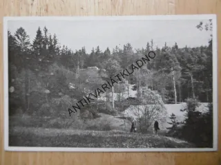 KOZÍ HRÁDEK, OKR. TÁBOR, ZŘÍCENINA